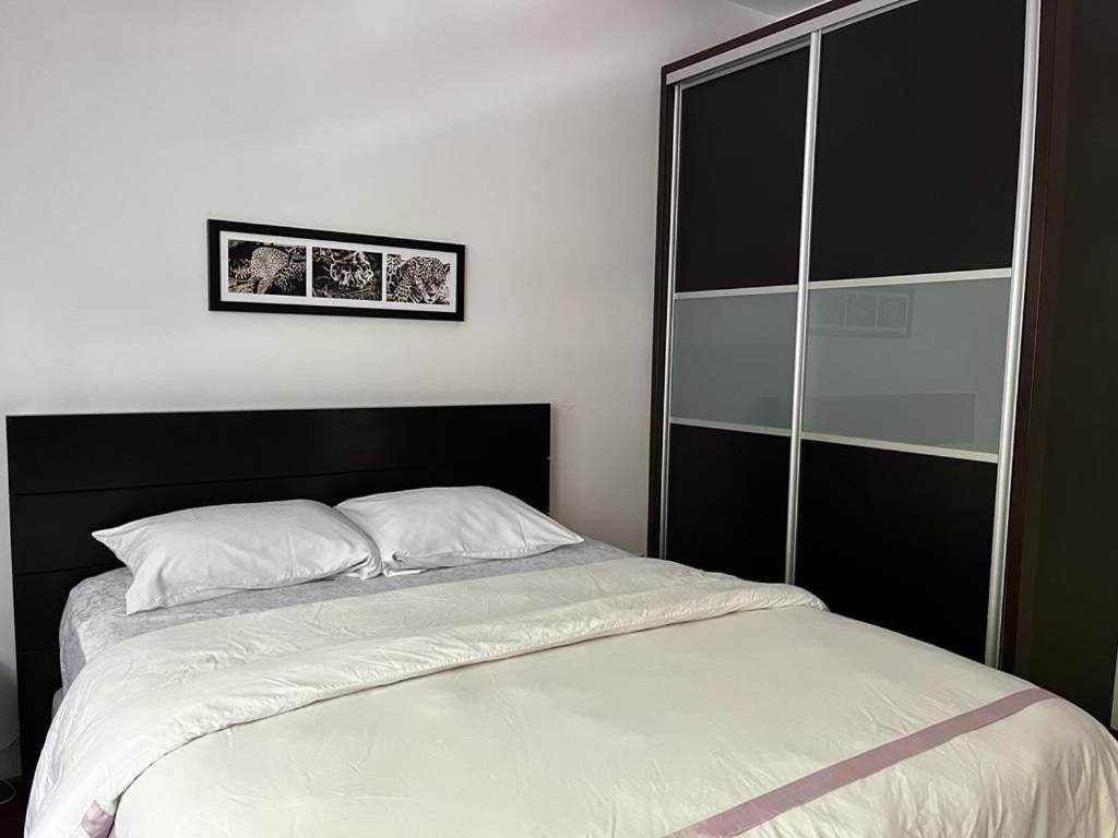 מקסיקו סיטי Condesa Residence Amsterdam D Sunny 2Bed 1Bath Apt In Condesa מראה חיצוני תמונה