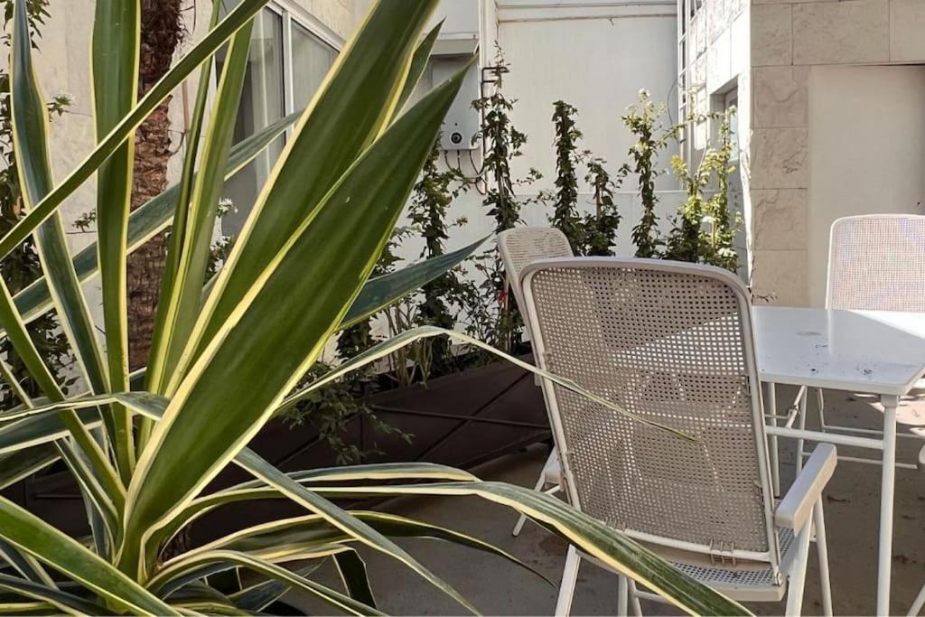 מקסיקו סיטי Condesa Residence Amsterdam D Sunny 2Bed 1Bath Apt In Condesa מראה חיצוני תמונה
