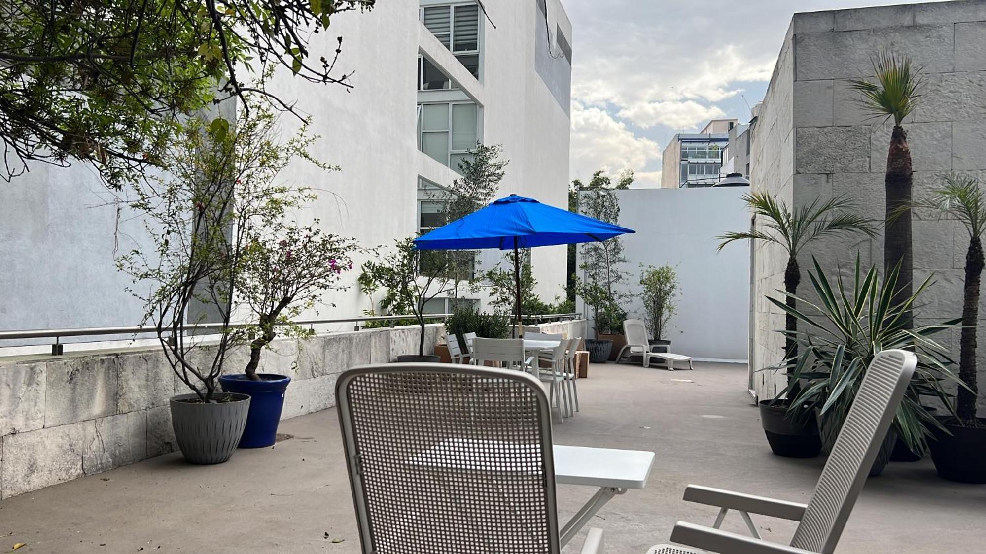 מקסיקו סיטי Condesa Residence Amsterdam D Sunny 2Bed 1Bath Apt In Condesa מראה חיצוני תמונה