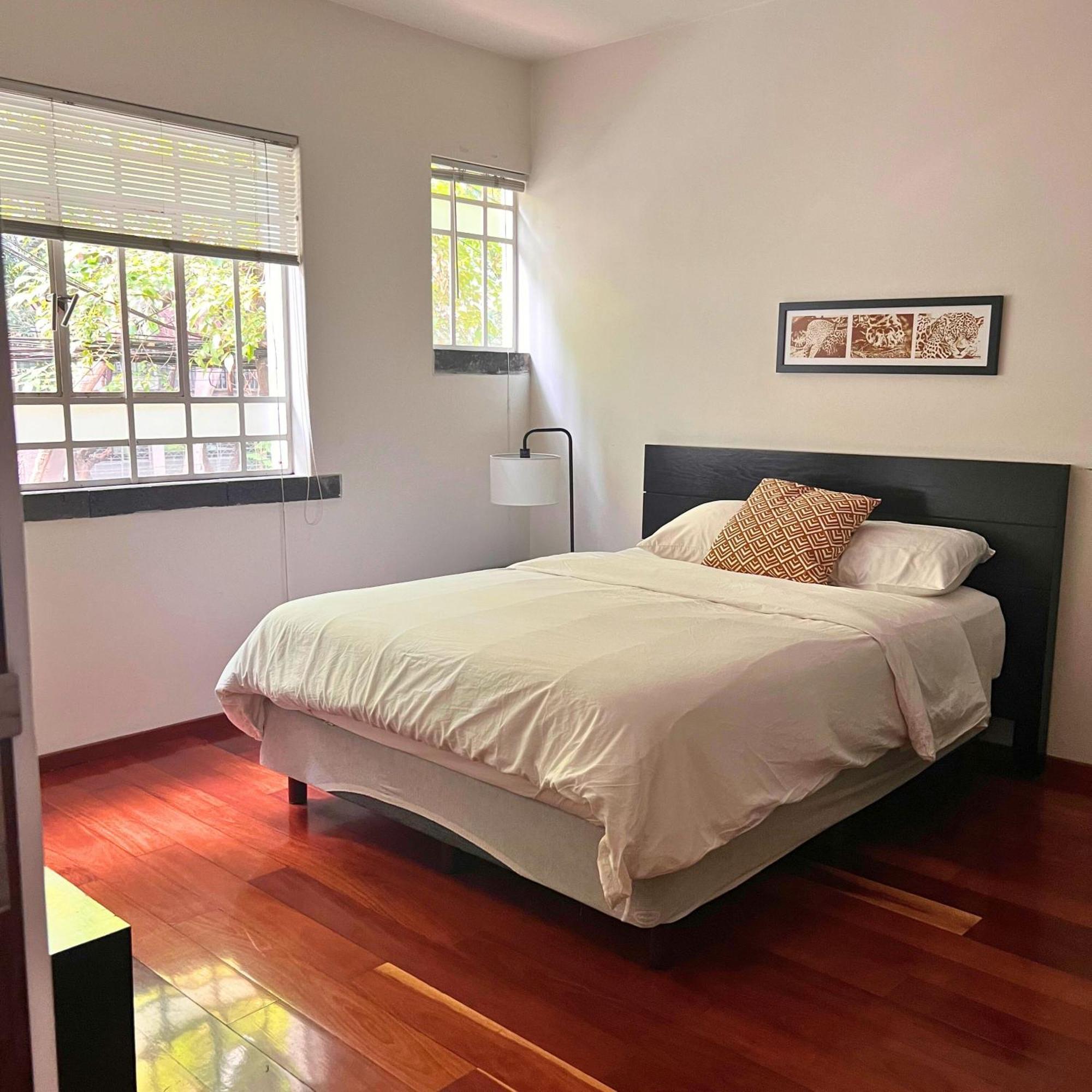 מקסיקו סיטי Condesa Residence Amsterdam D Sunny 2Bed 1Bath Apt In Condesa מראה חיצוני תמונה